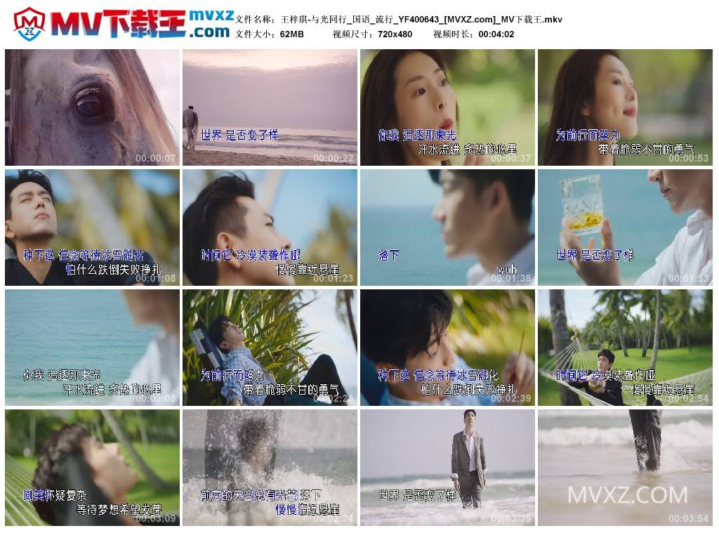 王梓琪-与光同行_国语_流行_YF400643